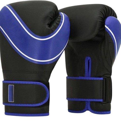KickBoxing Gloves