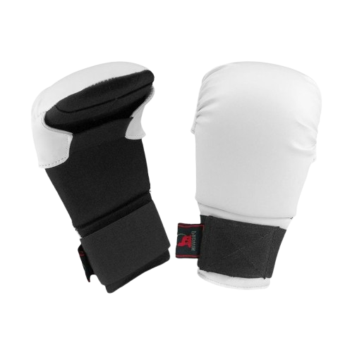 Karate Gloves